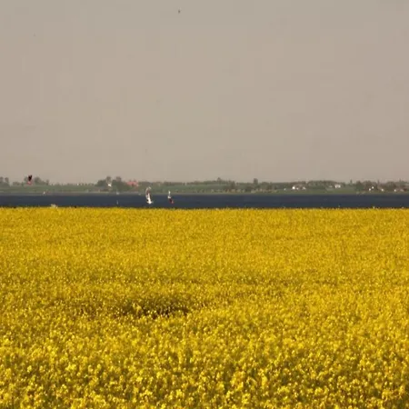 5-zimmer-ferienunterkunft In Mit Garten Lejlighed *