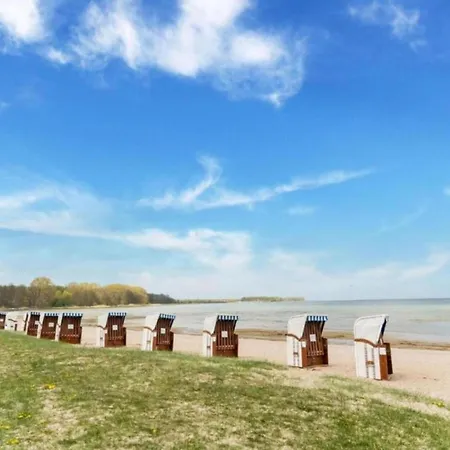 Lejlighed 5-zimmer-ferienunterkunft In Mit Garten Zierow